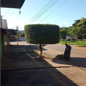 Captura de tela_14-8-2024_202924_www.instagram.com